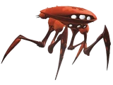 Krab