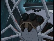 Păianjenul este gata să atace.