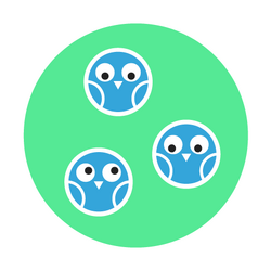 CodeUp-USP-Together-Border.png