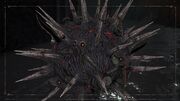 BOR Parasite