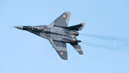 A Polish fighter jet