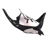 Mantarrayanegra