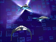 Mantainicio.jpg (89 kB) Tres mantas saíndo da cúpula.