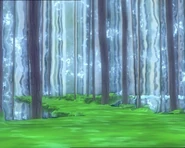 El programa de reiniciació.