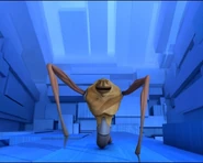 Gusano.jpg (62 Ko) Un cuc al sector 5.