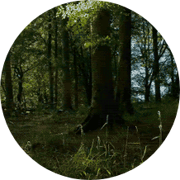 Circle-cropped (1)