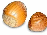 Hazelnut