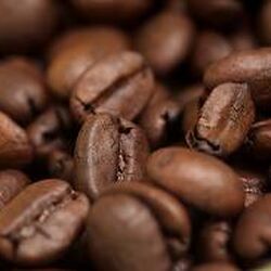 where did coffee beans come from in 1800s