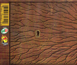 Album Back - Live at La Zona Rosa.jpg
