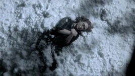 Cold Case S03E05 Committed