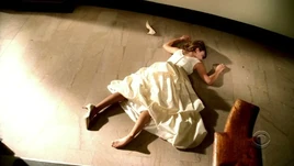 Cold Case S03E13 Debut