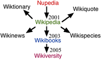 The origins of Wikiversity