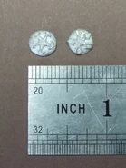 CLAM EDK01 Boar knight HW&S shields arrow stars with ruler.jpg (47 KB) The two shields with an inch ruler