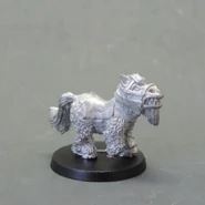 Pony D, right side standing