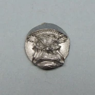 Shield 5 (Mushroom B)