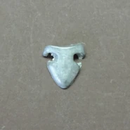 CLAM ED EDC-01 beveled shield.jpg (34 KB) The beveled shield was an opgrade for the Core Warriors with hand weapon and shield