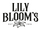 Lily Bloom's