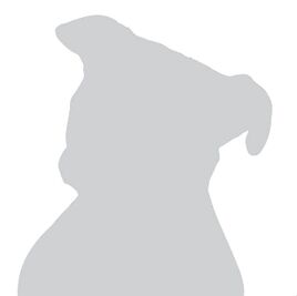 Placeholder Dog