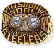 Super Bowl 10 Ring.jpg (317 KB) Super Bowl X