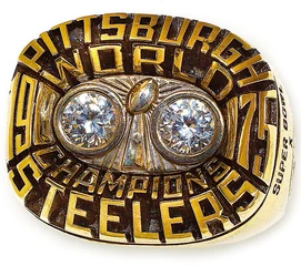 Super Bowl X