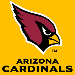 arizona cardinals established