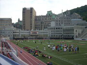 Montreal Neurological Institute