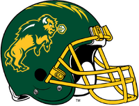 Ndsu bison helmet outlet