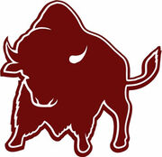 West Texas A&M Buffaloes