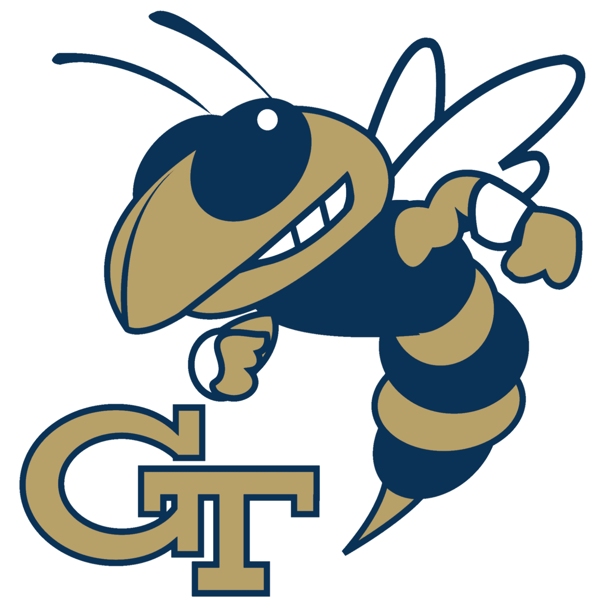 Calvin Johnson, Football – Georgia Tech Yellow Jackets