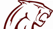 Concord Mountain Lions.jpg