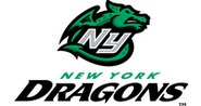 New York Dragons logo (2009, Unused)
