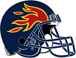 Birmingham Fire | American Football Wiki | Fandom