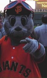 Lou seal giants mascot