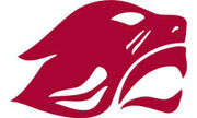 Concordia Chicago Cougars