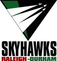 Raleigh-Durham Skyhawks logo