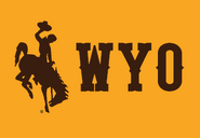 NCAA-MW-Wyoming Cowboys Gold Alt logo