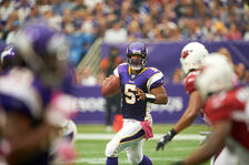 Minnesota Vikings release Donovan McNabb: source