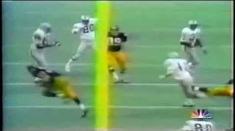 Immaculate Reception in Slow Motion
