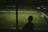 A man watches a Timbers match in 2014