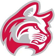 Indiana Wesleyan Wildcats