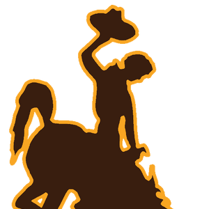 Wyoming Cowboys American Football Wiki Fandom