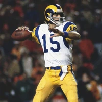 vince ferragamo jersey