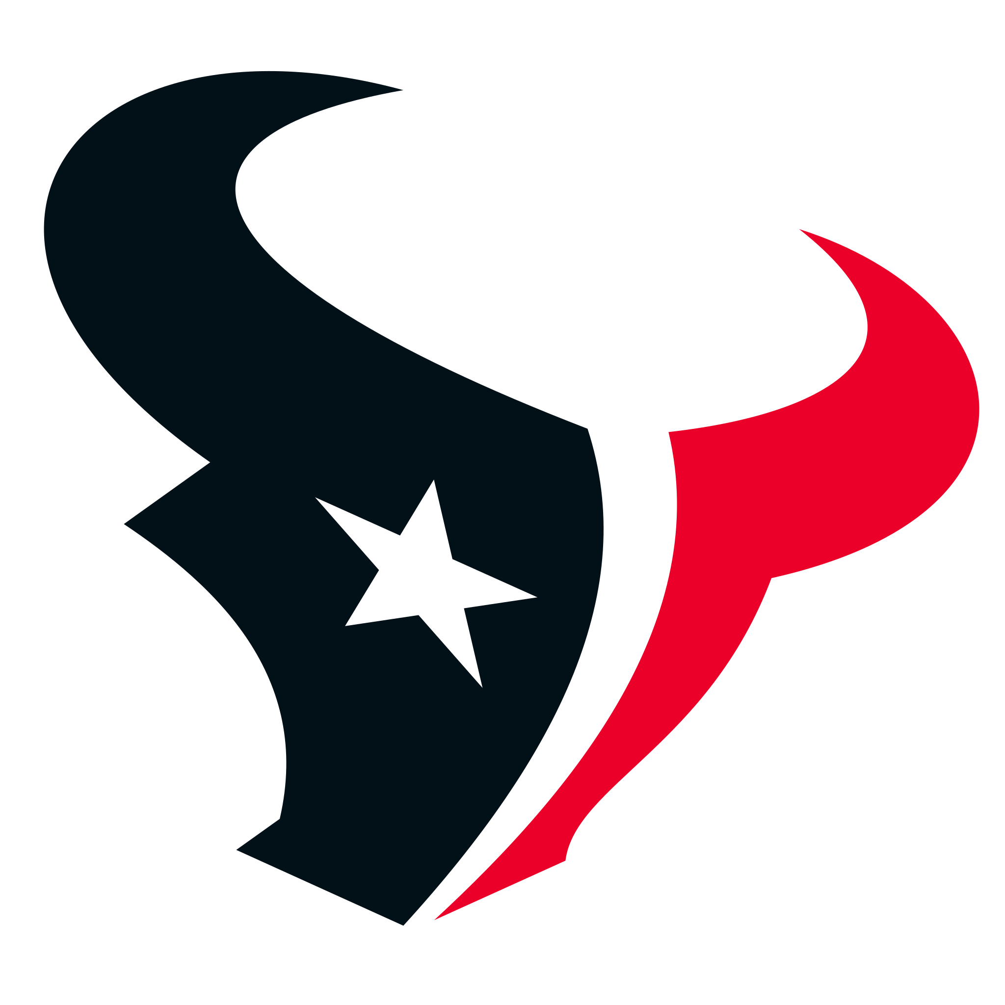 Houston Texans - Wikipedia