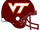 Virginia Tech Hokies