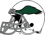 Right side of White helmet with kelly green wing logo, with black trim added, used from 1972-73.