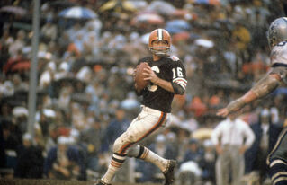 1971 Cleveland Browns season - Wikipedia