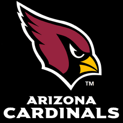 Arizona Cardinals Brand Color Codes