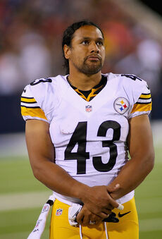 Troy Polamalu