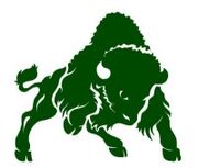 Bethany WV Bison.jpg