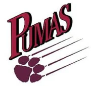 St. Josephs Pumas